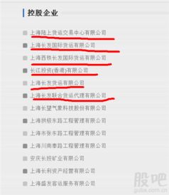 正宗自由港概念起風云 上海國資委長江投資，如何撬動物流與金屬交易新紀元？